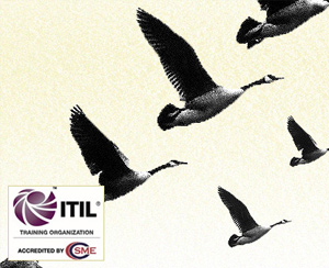 itil v3 foundation study material